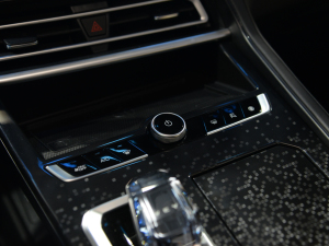 2021DHT Ϻ܇(ch)չ