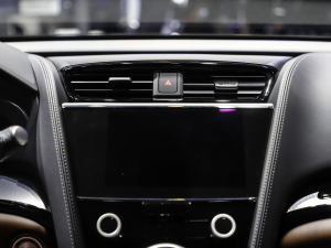 2021��֎��CDX �Ϻ�܇չ