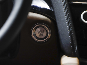 2021��֎��CDX �Ϻ�܇չ