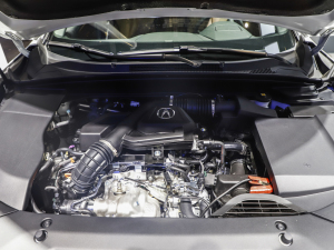 2021��֎��CDX �Ϻ�܇չ