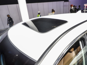 2021��֎��CDX �Ϻ�܇չ