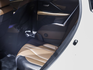 2021��֎��CDX �Ϻ�܇չ