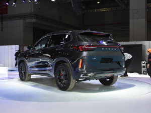 2021;׷L(fng) Ϻ܇չ