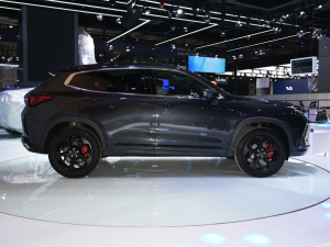 2021;׷L(fng) Ϻ܇չ