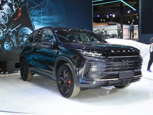 2021;׷L(fng) Ϻ܇չ