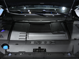 2021;׷L(fng) Ϻ܇չ