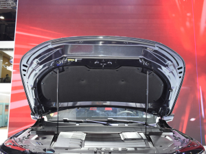 2021;׷L(fng) Ϻ܇չ