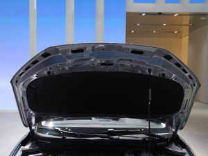 2021��s��i5 �Ϻ�܇չ