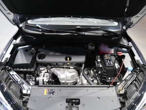 2021��s��i5 �Ϻ�܇չ