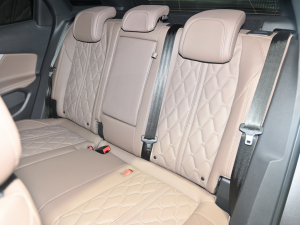 2021(bio)4008 Ϻ܇չ