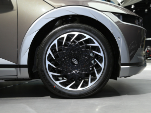 2021I(lng)ONIQ()5 Ϻ܇չ