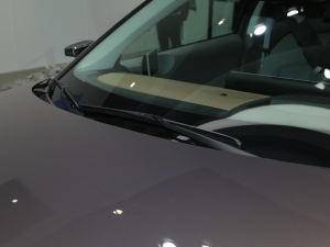 2021I(lng)ONIQ()5 Ϻ܇չ