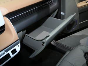 2021I(lng)ONIQ()5 Ϻ܇չ