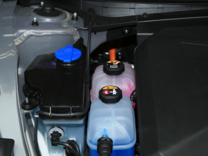 2021I(lng)ONIQ()5 Ϻ܇չ