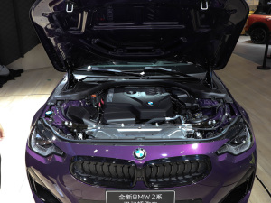 2022R2ϵpT Ϻ܇չ