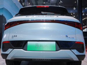 2022��ԪPLUS �Ϻ�܇չ