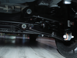 2022��ԪPLUS �Ϻ�܇չ