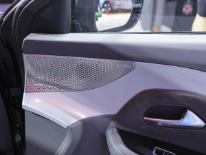 2021O S(ARCFOX S) Ϻ܇չ