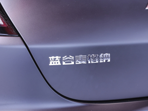 2021O S(ARCFOX S) Ϻ܇չ