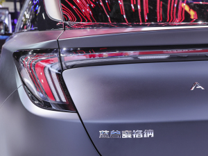 2021O S(ARCFOX S) Ϻ܇չ