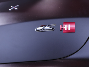 2021O S(ARCFOX S) Ϻ܇չ