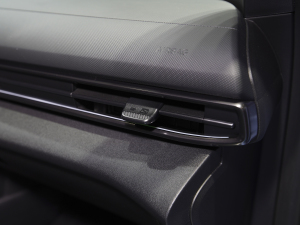 2022�����m��(�M��) �Ϻ�܇չ