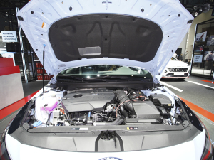 2022�����m��(�M��) �Ϻ�܇չ