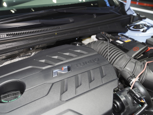 2022�����m��(�M��) �Ϻ�܇չ