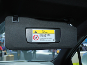 2022ѩm_(ki) Ϻ܇(ch)չ