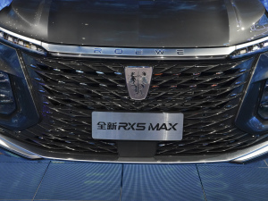 2022sRX5 MAX Ϻ܇չ