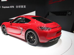 2014GTS Ϻչ