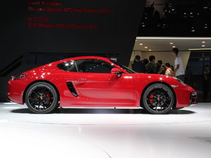 2014GTS Ϻչ