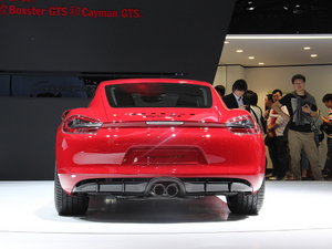 2014GTS Ϻչ