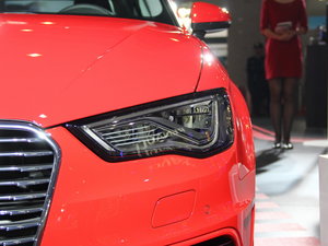 2015WA3 e-tron Ϻ܇չ