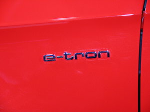 2015WA3 e-tron Ϻ܇չ