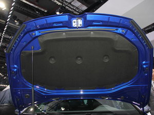 2016Golf R I܇ Ϻ܇չ