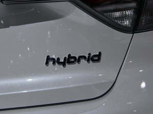 2015Hybrid Ϻ܇չ