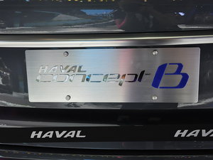 2015Concept B Ϻ܇չ