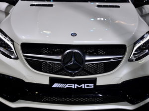 2016YGLE AMG Ϻ܇չ