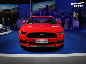 Mustang