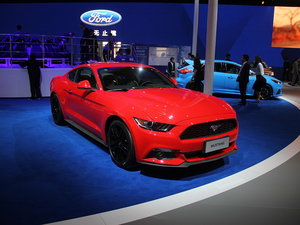 Mustang