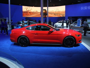 Mustang