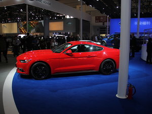 Mustang