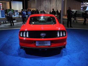 Mustang