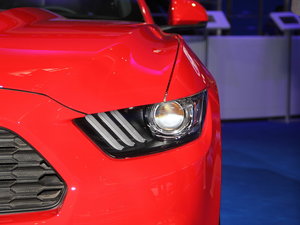 Mustang