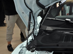 2016٘O(M) Ϻ܇չ