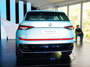 Vision S