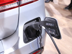 2016YGLEԴ Ϻ܇չ