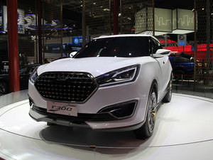 ̩T300