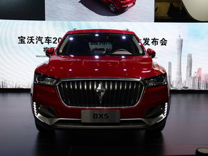 BX5